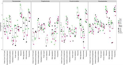 Tight Adherence (Tad) Pilus Genes Indicate Putative Niche Differentiation in Phytoplankton Bloom Associated Rhodobacterales